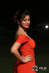 Shilpi Sharma at Green Signal Movie Audio Launch